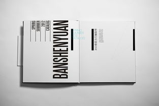 成都與創(chuàng)廣告 以匠心打造“半身緣”高端精品畫冊與定制化軟件開發(fā)方案